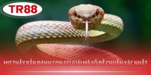 Mơ Thấy Rắn Đánh Con Gì? Giải Mã Số Đề Chuẩn Xác Nhất